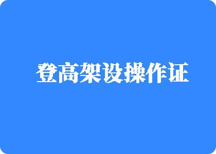 美女大胸长逼视频九一网页版特别篇登高架设操作证